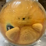 ted lemons 🧸🍋 - @ted_lemons.com_ - Instagram