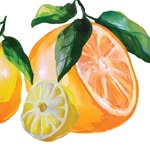 Teddy Tangerine + Lotus Lemon - @ttangerinellemon - Instagram