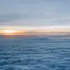 TedLeonardD0_g - @tedleonardd0_g - TikTok