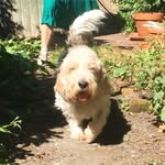 Le Petit Ted - @lepetitted - Instagram