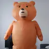 LesAventuresDeTED - @tedlepetitours - TikTok