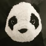 Ted 🐼 - @tedlepetitpanda - Instagram