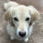 Ted LeRoy - @tedleroy8 - Instagram