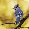 tedlester629 - @tedlester629 - TikTok