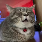 Ted Leung - @ted_leung0612 - Instagram