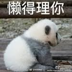 Ted Leung - @ted.leung.144 - Instagram