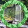 Teddy Leung - @teddy.leung0 - TikTok
