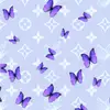 🦋 - @tedli_ - TikTok