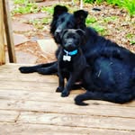 Kodi & Ted E Bear 🐻 - @kodi_bear_ted_e_bear_libby - Instagram