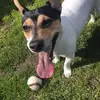 tednlibby - @tednlibby - TikTok