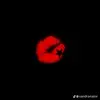 Con.cietedlilly - @con.cietedlilly - TikTok