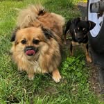 Ted & Lilly - @ted_n_lilly - Instagram