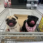 𝒯ℯ𝒹 & ℒ𝒾𝓁𝓁𝓎 - @_ted_lilly_ - Instagram