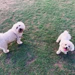 ted & lilly 💕 - @ted_and_lilly_happylife - Instagram