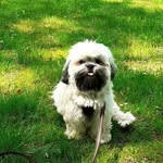 @tedlilly14 - Instagram