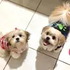 Ted.Lilly - @ted.lilly - TikTok