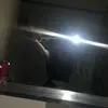 ❤️‍🔥💗 - @z00ted.lilly - TikTok