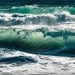 Fhv - @ted_line_ - Instagram