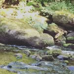 𝒯𝑒𝒹𝓁𝒾𝓃𝑒, 𝒜𝒹𝑜𝓃𝓎 - @tedline_adony - Instagram
