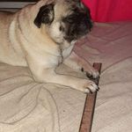 @tedlink2021 - Instagram