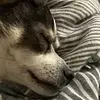 tedlipkin6 - @ted.lipkin - TikTok