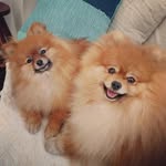 Ted & Lis - @ted_e_lis - Instagram