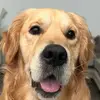Teds bucket list - @tedsbucketlist - TikTok
