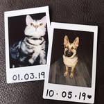 Ted + Lloyd - @lifeoftedandlloyd - Instagram