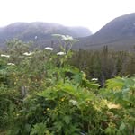 Ted Lloyd - @ted.lloyd.56 - Instagram