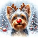 Ted Lloyd - Facebook