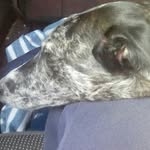 Ted Lloyd - @tedlloyd200510 - Instagram