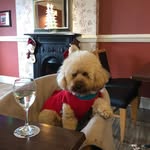 Ted Lloyd - @tedlloyd33 - Instagram