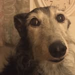 Ted Lloyd Gwilt - @auld_ted - Instagram