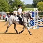 Ted Mincher-Lockett - @tedmincherlockett_eventing - Instagram