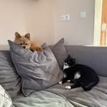 @ted_lotti - Instagram