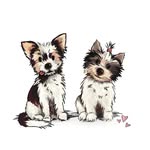 Teddy und Lotti ❤️ - @teddy.und.lotti - Instagram