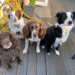 The Village People - @maisie_ollie_lottie_ted - Instagram