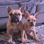 Ted & Louis - @ted_n_louis - Instagram
