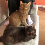 Ted and Louis - @tedenlouis - Instagram