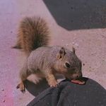 ᴛᴇᴅᴅʏ ʟᴏᴠᴀᴛᴏ 🐿 - @teddylovato_ - Instagram
