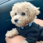Teddy🧸 - @teddy.lovato - Instagram
