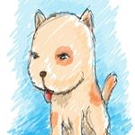 Ted Low - @tedlow - Instagram