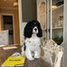 Ted Low - Facebook