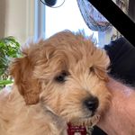 Ted Lowe - @tedhelenlowe - Instagram