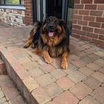 Ted Lowry - @tedstrekks100 - Instagram