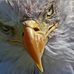 Ted De Loy - Facebook