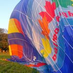ted - @tedloyalist - Instagram