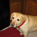 Teddy Loy - Facebook