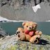 Ted et ses Petits Lu en Trek - Facebook
