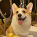 Ted Lu - Facebook